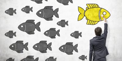 O-fish O-fish
